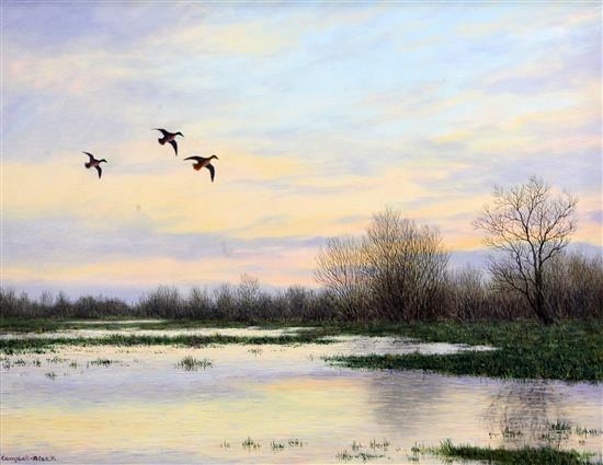 Geoffrey Campbell-Black Lake scenes with mallards, 14 x 18in. and 16 x 12in.
